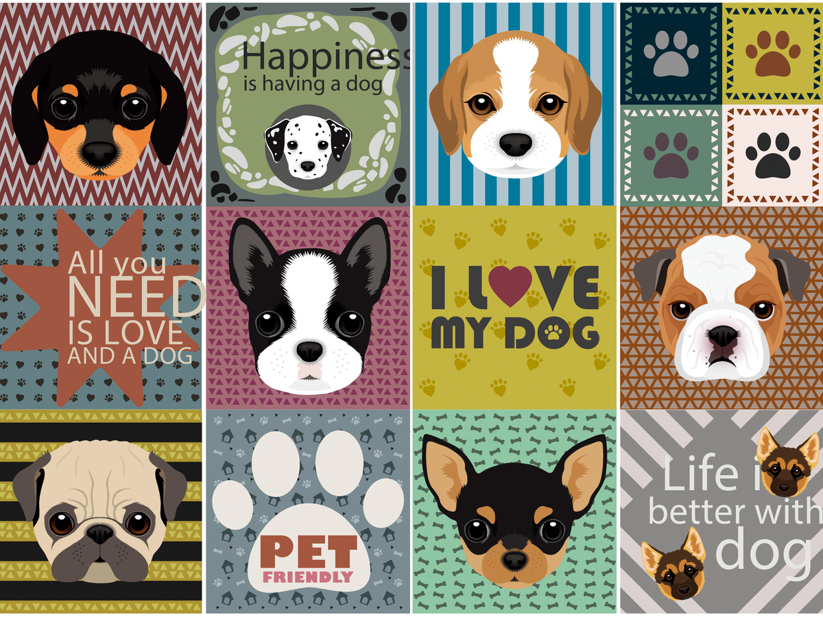 Pets - Pack 12 unidades