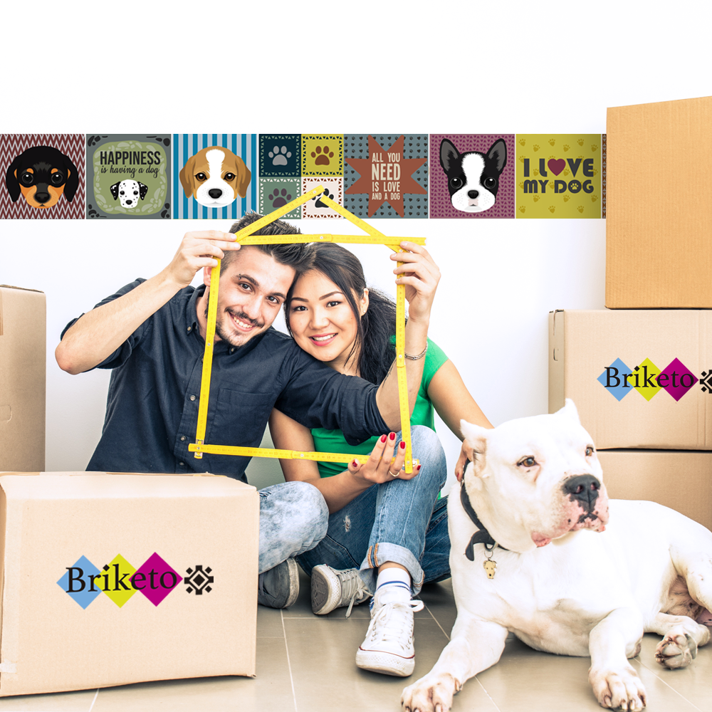 Pets - Pack 12 unidades