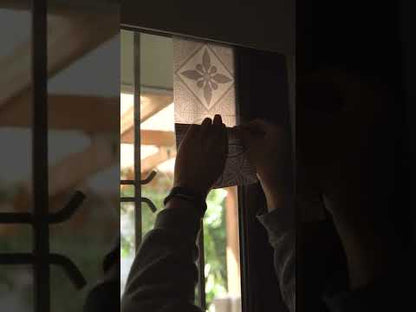 Fleur Transparente - Pack 12 unidades