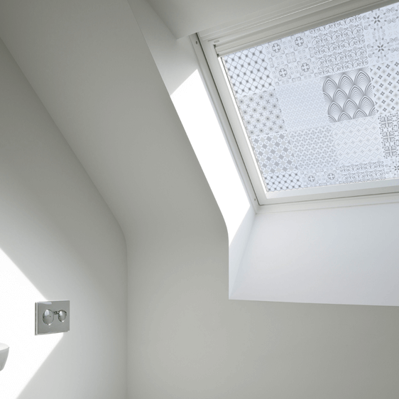 Grafito Transparente - Pack 12 unidades