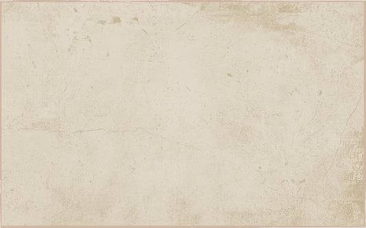 Muros 25x40 POMPEIA BEIGE - Pack 6 unidades